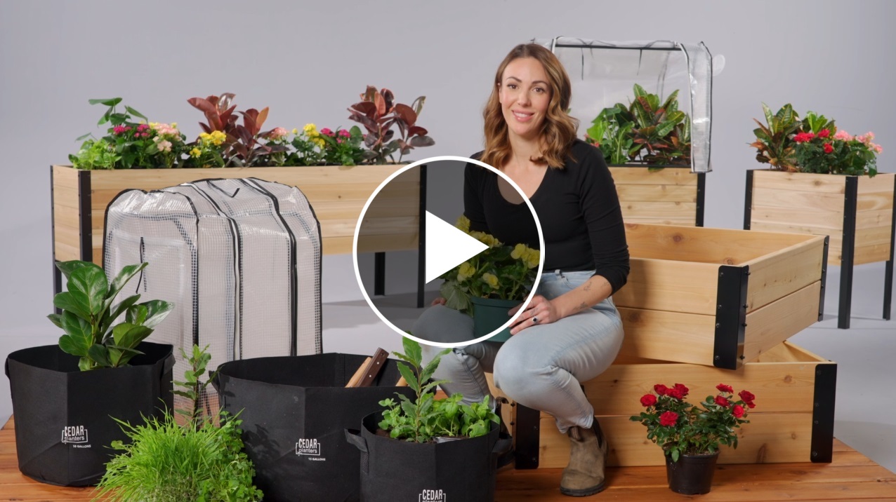 Product Video - Cedar Planters